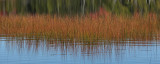 Ducktail Pond  c 2_ 10-12-15.jpg