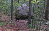 Kelley - Hidden Ponds Trail c  9-9-17 .jpg
