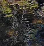 Ripples Harbor Brook 10-1-17.jpg