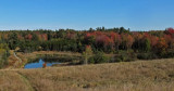 Beaver Pond City Forest 10-3-17.jpg