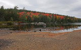 Kelley - Partridge Pond b 10-7-17.jpg