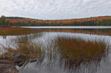 Ducktail  Pond b 10-7-17.jpg