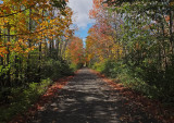 Newport Rail trail 10-10-17.jpg