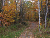 Kenduskeag SM Trail 10-14-17.jpg