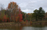 Small Pond  Caribou Bog 10-16-17.jpg