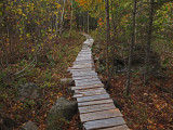 Trail Caribou Bog c 10-16-17.jpg