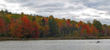 Black Pond Caribou Bog 10-16-17.jpg