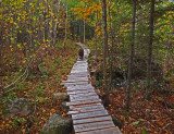Kelley - Trail Caribou Bog 10-16-17.jpg
