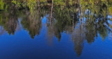 Reflection Mariaville Falls 10-27-17.jpg