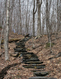Near End of Moose Pond Trail 4-25-10-ed.jpg