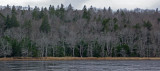 Across - Little Long Pond 11-22-13-ed.JPG
