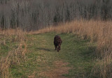 Kelley City Forest 11-12-17.jpg