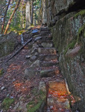 Trail From Harbor Brook Trail 11-29-17.jpg