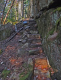 Trail From Harbor Brook Trail  11-29-17.jpg