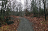 Trail Along Kenduskeag 12-6-17.jpg
