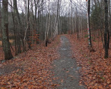 Trail Along Kenduskeag b 12-6-17.jpg