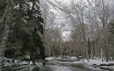 Ducktrap River b 1-17-10-ed-pf.jpg