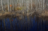 Reflection Sunrise Trail 11-4-13.jpg