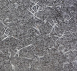 Snow and ice DeMeritt Forest 12-16-17.jpg