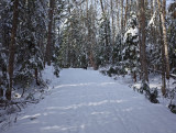 Logan Rd. DeMeritt Forest 12-16-17.jpg