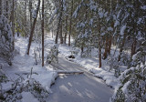 Stream DeMeritt Forest 12-16-17.jpg