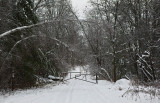 Trail Along Kenduskeg 12-13-17 .jpg