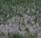 From Penobscot Mtn. Trail 3-21-10.jpg