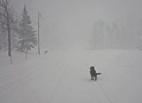 Kelley - Road b 12-25-17.jpg