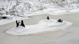 On The Pond 12-22-09-ed.jpg