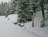 Kelley Sargent Trailhead 2-3-10-ED.jpg