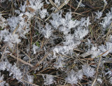 Ice Snowmobile Trail 1-7-11.jpg