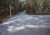 Carriage Roads Long Pond Area 2-15-18.jpg