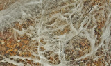 Ice Tunk Mountain 1-5-12-ed.jpg