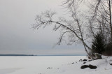 Sebasticook Lake 1-7-15-ed.jpg