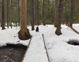 Kelley - Bridge Over Jordan Stream 2-26-14-pf.jpg