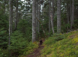 Kelley - Harbor Brook Trail 4-19-18.jpg