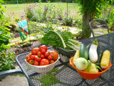 Bountiful organic produce grown in ones back yard!