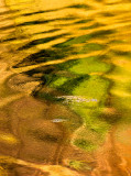 Pond abstract reflections in Scotland