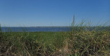 P7160007.jpg