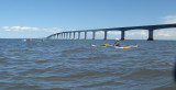P7290034.jpg