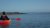 P5270004.jpg