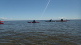 P5270009.jpg