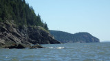 P8110010.jpg