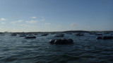 P9010025.jpg