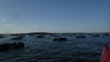 P9010029.jpg