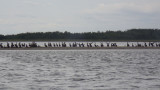P9020046.jpg