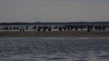 P9020047.jpg