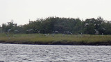 P9020053.jpg