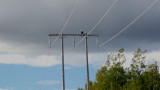 P9290096.jpg