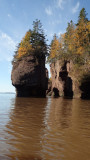 PA210032.jpg